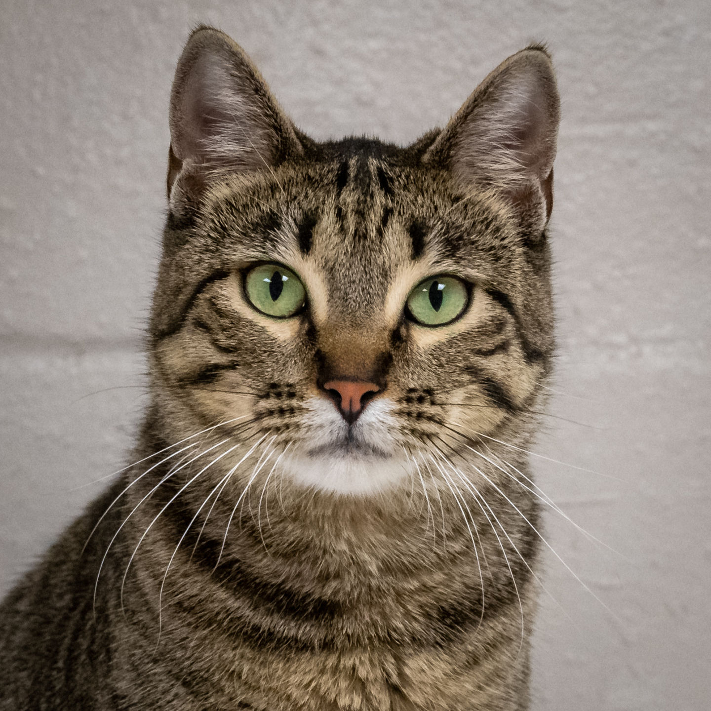 Sammie